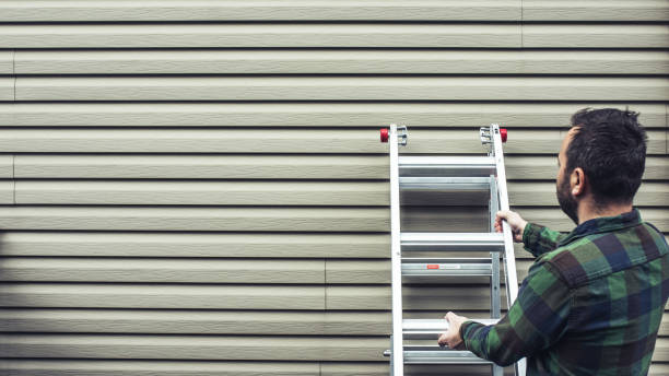 Best Custom Siding Design  in Steele, AL