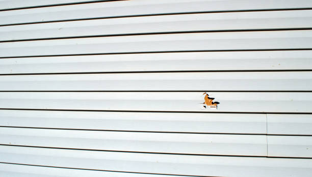 Best Weatherproofing and Sealing  in Steele, AL