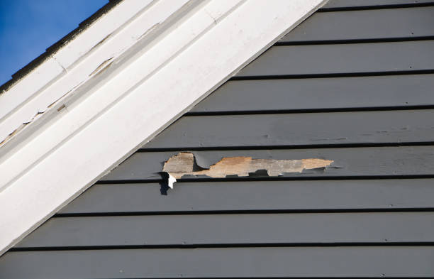 Best Historical Building Siding Restoration  in Steele, AL